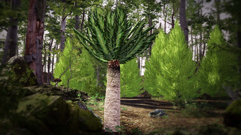 幻の南アフリカの宝石、エンケファラルトス・ヒーナニー