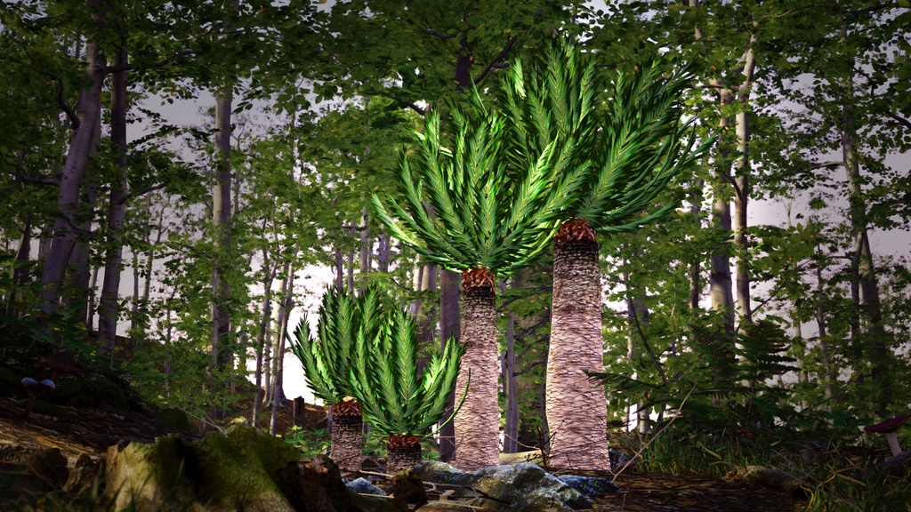 幻の南アフリカの宝石、エンケファラルトス・ヒーナニー