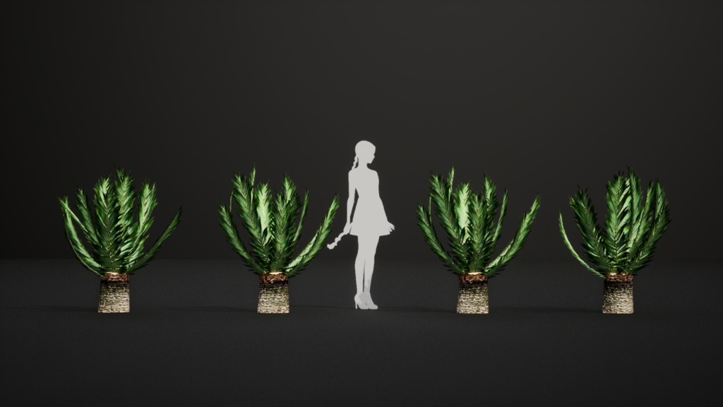 幻の南アフリカの宝石、エンケファラルトス・ヒーナニー