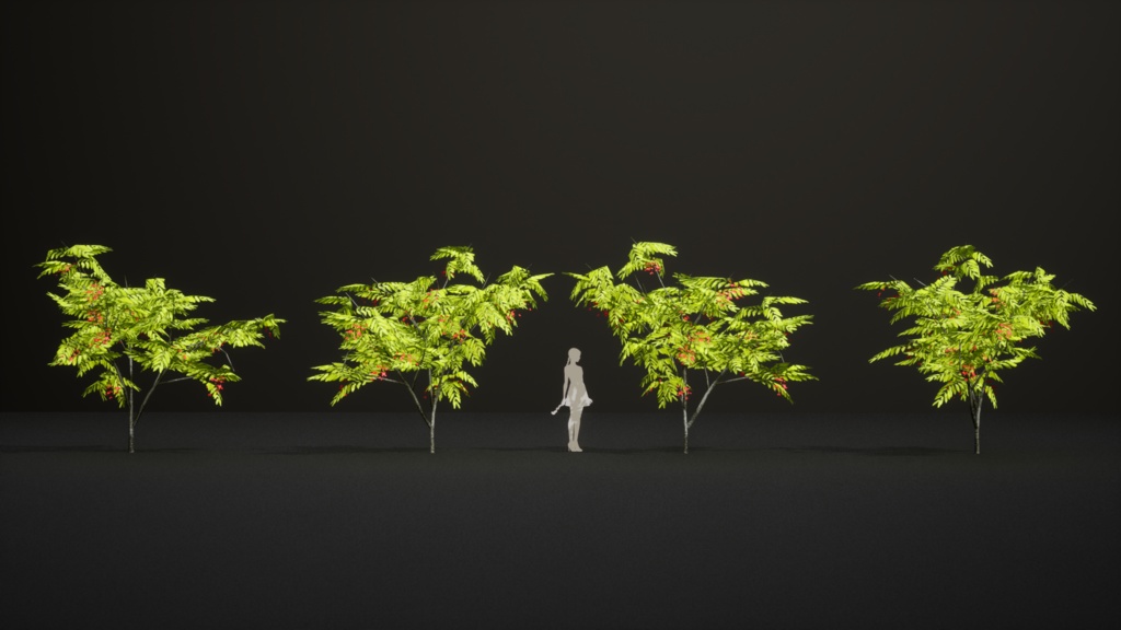 幻のビルマの誇り、アムハースティア・ノビリス