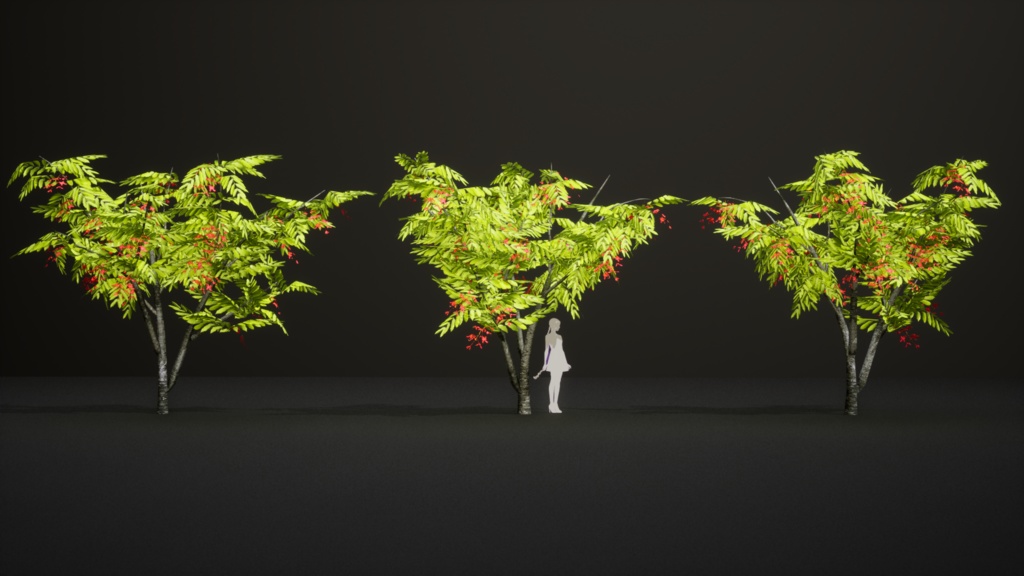 幻のビルマの誇り、アムハースティア・ノビリス