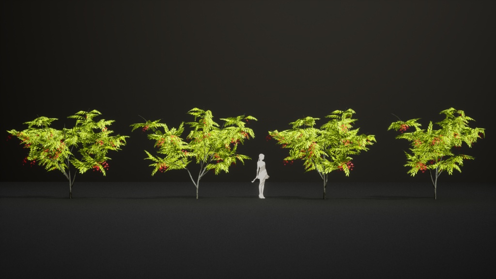 幻のビルマの誇り、アムハースティア・ノビリス