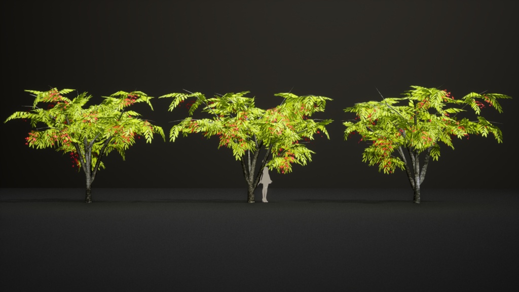 幻のビルマの誇り、アムハースティア・ノビリス