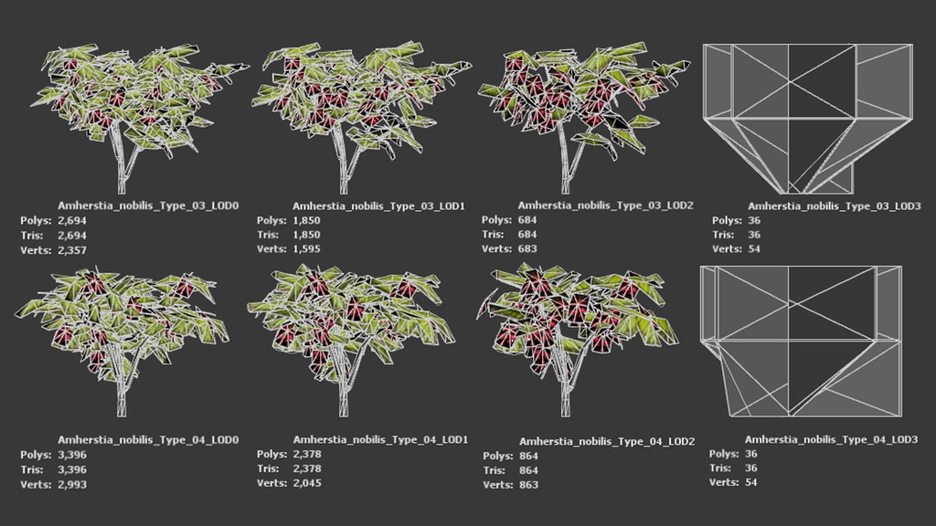幻のビルマの誇り、アムハースティア・ノビリス