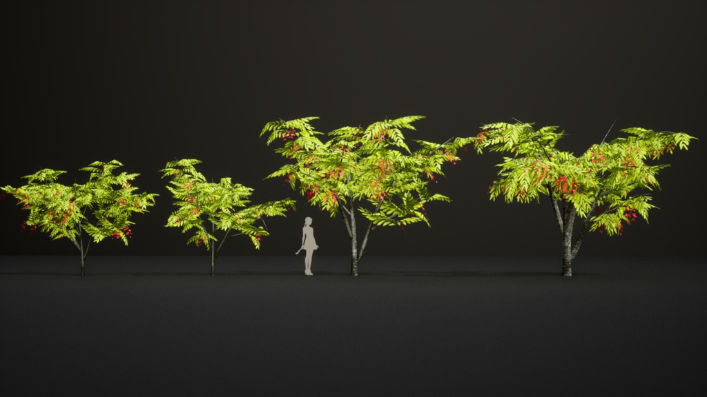 幻のビルマの誇り、アムハースティア・ノビリス