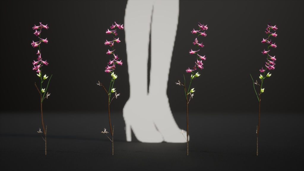 キプロスの奇跡、デルフィニウム・カセイ