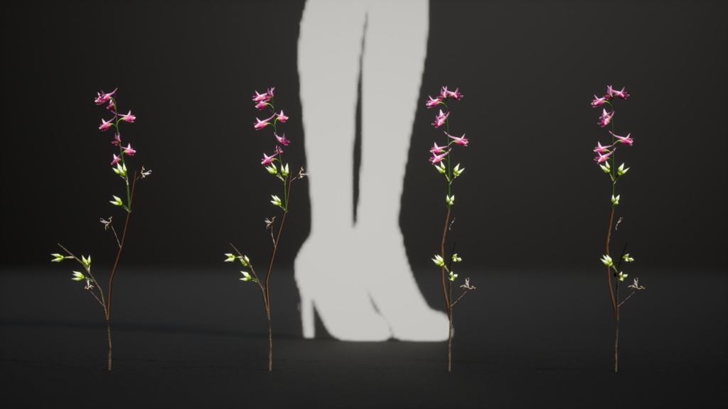 キプロスの奇跡、デルフィニウム・カセイ