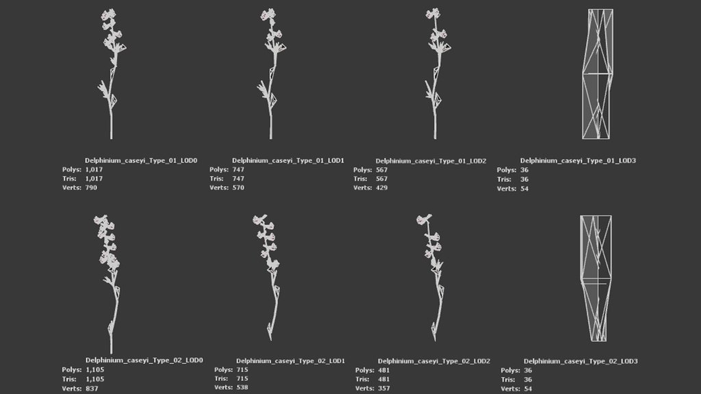 キプロスの奇跡、デルフィニウム・カセイ