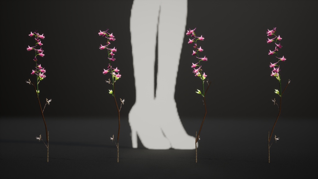 キプロスの奇跡、デルフィニウム・カセイ