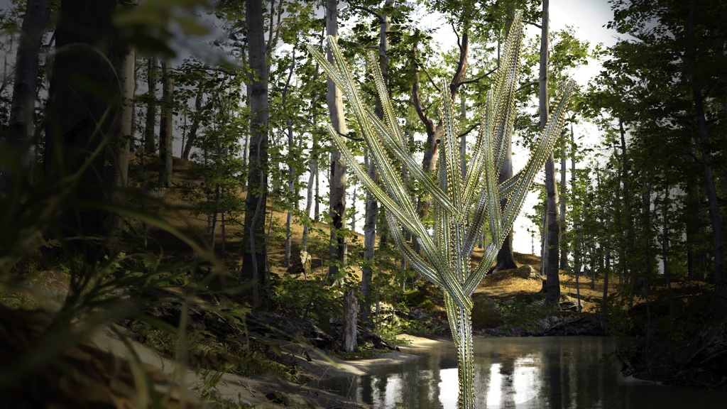 ブラジルの幻の柱サボテン、ピロソケレウス・ディエルシアヌス