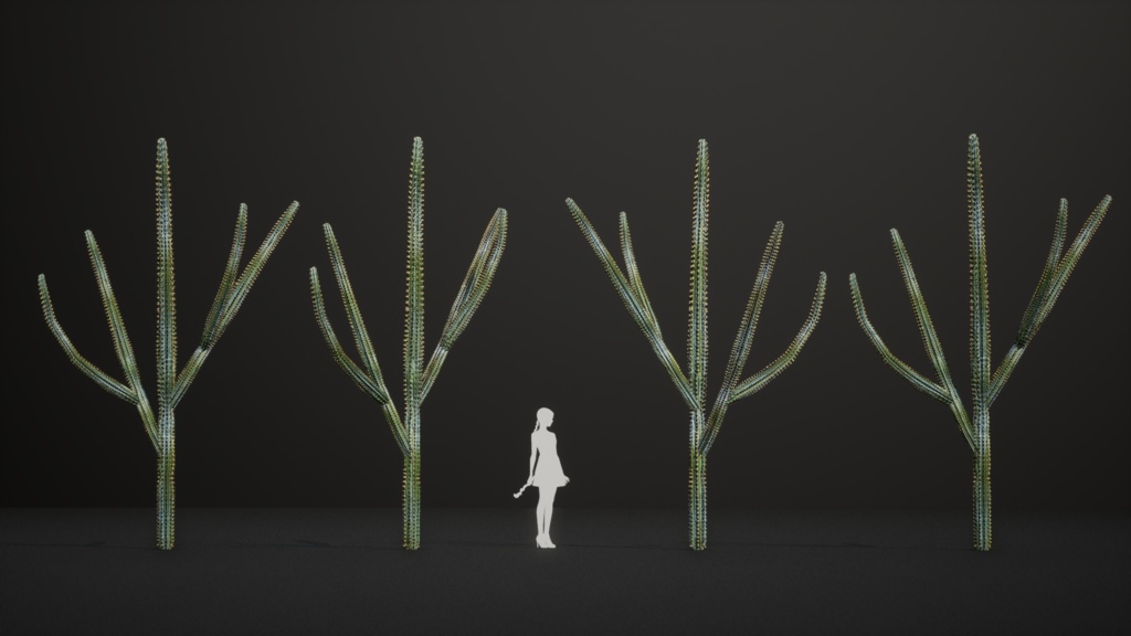 ブラジルの幻の柱サボテン、ピロソケレウス・ディエルシアヌス