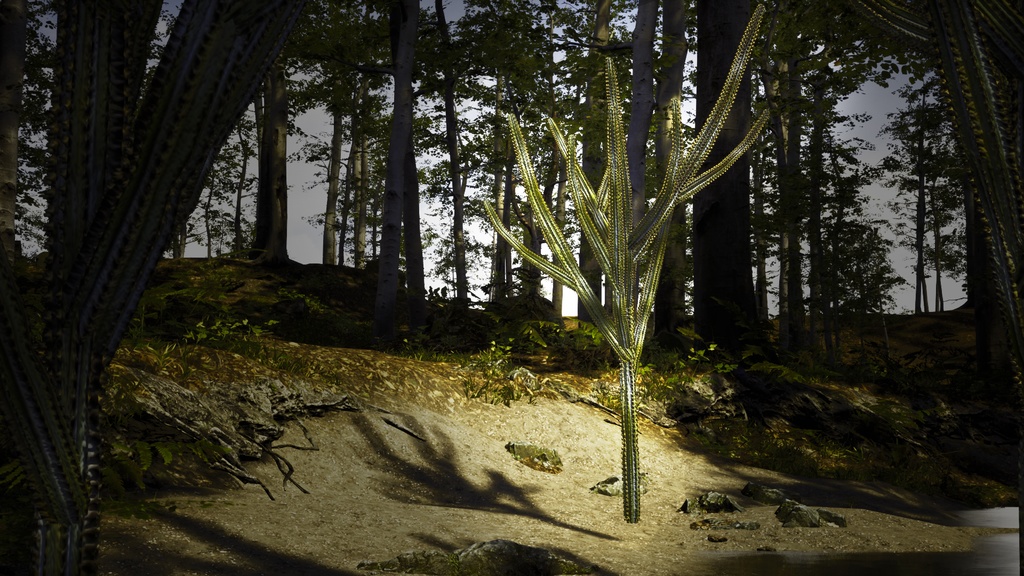 ブラジルの幻の柱サボテン、ピロソケレウス・ディエルシアヌス