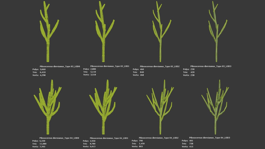 ブラジルの幻の柱サボテン、ピロソケレウス・ディエルシアヌス