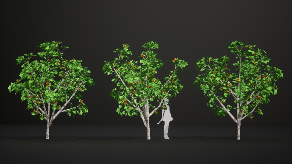 タンザニアの赤い宝石、エリスリナ・シュリーベニー