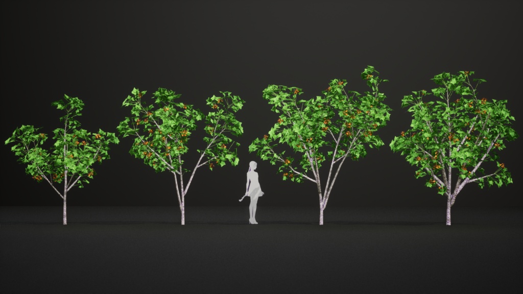 タンザニアの赤い宝石、エリスリナ・シュリーベニー