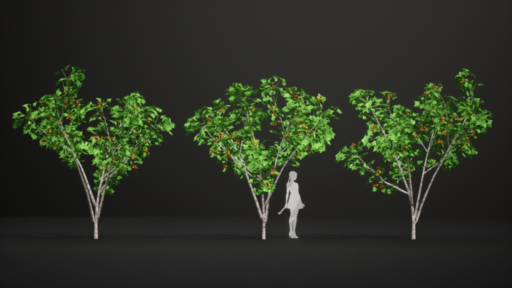 タンザニアの赤い宝石、エリスリナ・シュリーベニー