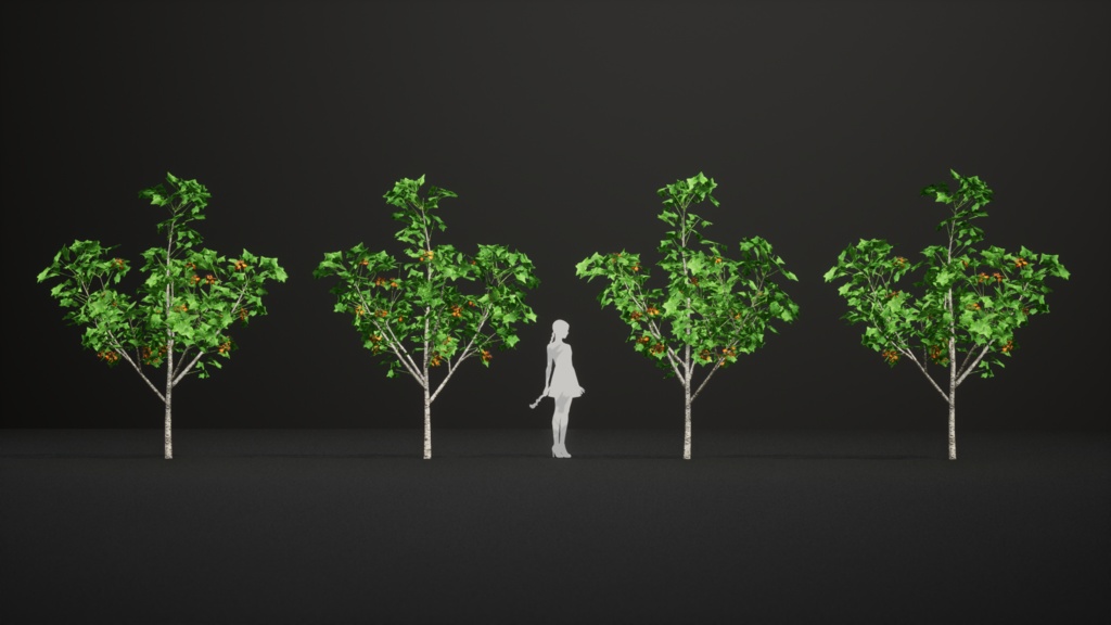 タンザニアの赤い宝石、エリスリナ・シュリーベニー