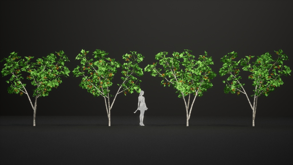 タンザニアの赤い宝石、エリスリナ・シュリーベニー