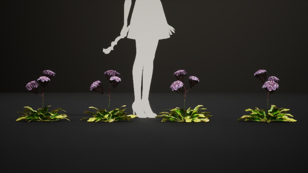 カナリア諸島の宝石、リモニウム・スベンテニー