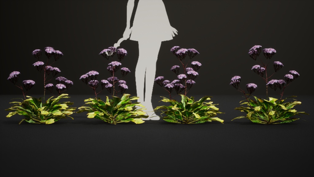 カナリア諸島の宝石、リモニウム・スベンテニー