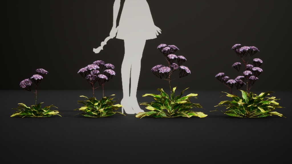 カナリア諸島の宝石、リモニウム・スベンテニー