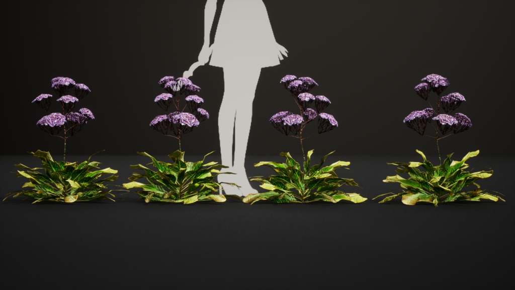 カナリア諸島の宝石、リモニウム・スベンテニー