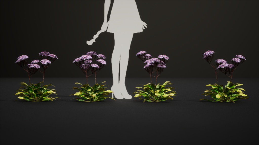 カナリア諸島の宝石、リモニウム・スベンテニー