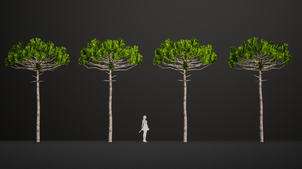 ブラジルの誇り、パラナマツ