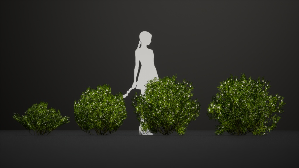 セントヘレナの宝石、フランケニア・ポルトゥラキフォリア