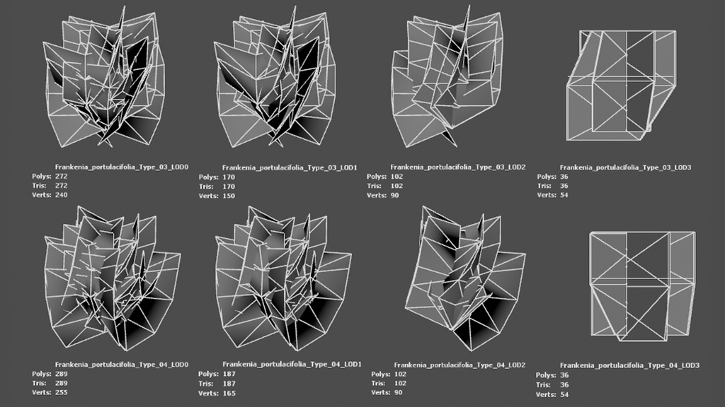 セントヘレナの宝石、フランケニア・ポルトゥラキフォリア