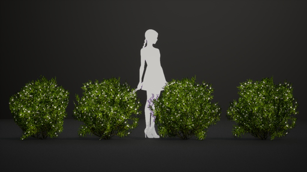 セントヘレナの宝石、フランケニア・ポルトゥラキフォリア