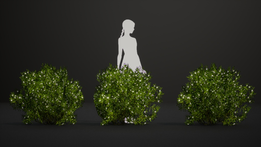 セントヘレナの宝石、フランケニア・ポルトゥラキフォリア