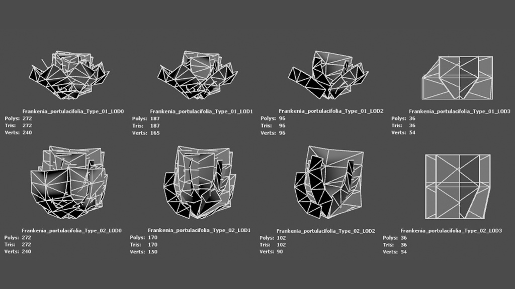 セントヘレナの宝石、フランケニア・ポルトゥラキフォリア