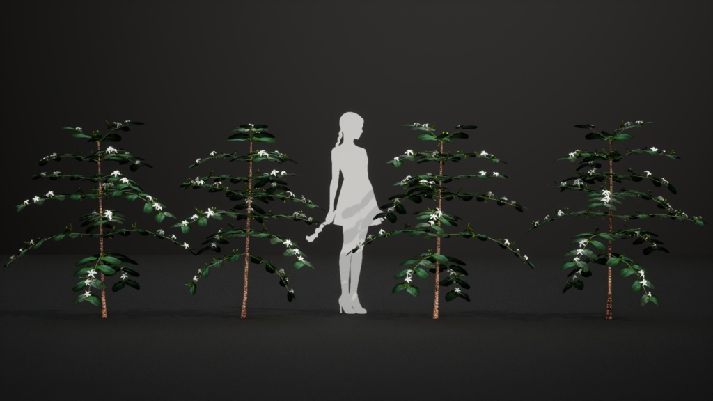 奇跡の復活植物 ラモスマニア・ロドリゲシー 3Dモデル