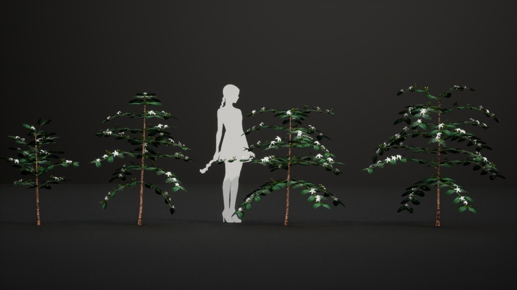 奇跡の復活植物 ラモスマニア・ロドリゲシー 3Dモデル