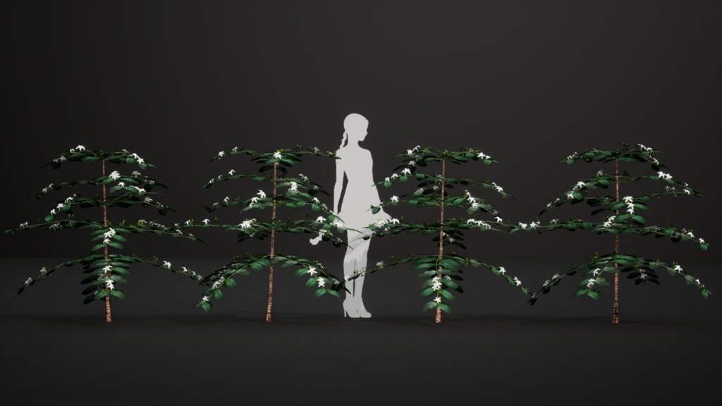 奇跡の復活植物 ラモスマニア・ロドリゲシー 3Dモデル