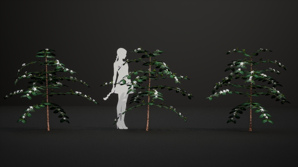 奇跡の復活植物 ラモスマニア・ロドリゲシー 3Dモデル