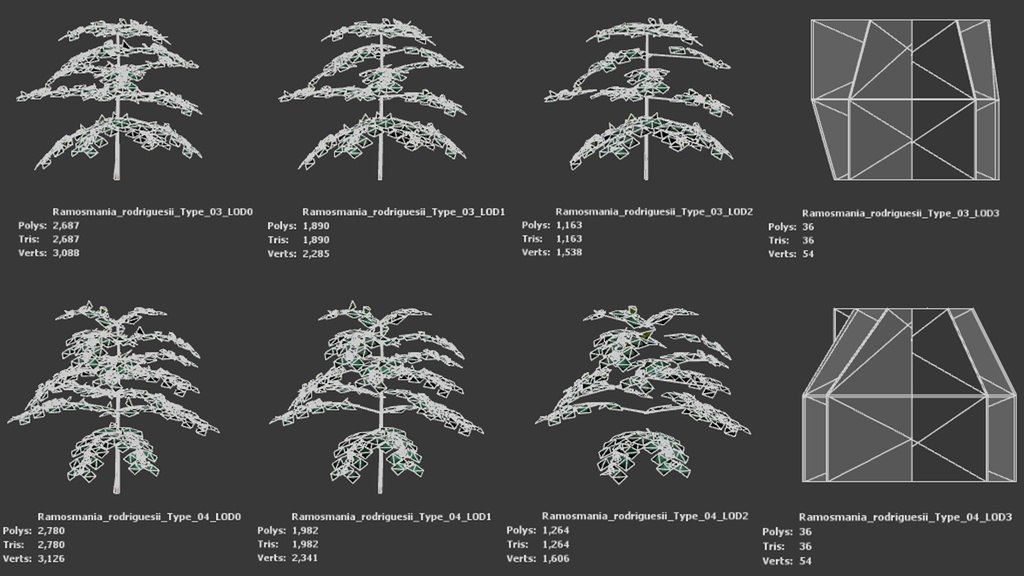 奇跡の復活植物 ラモスマニア・ロドリゲシー 3Dモデル