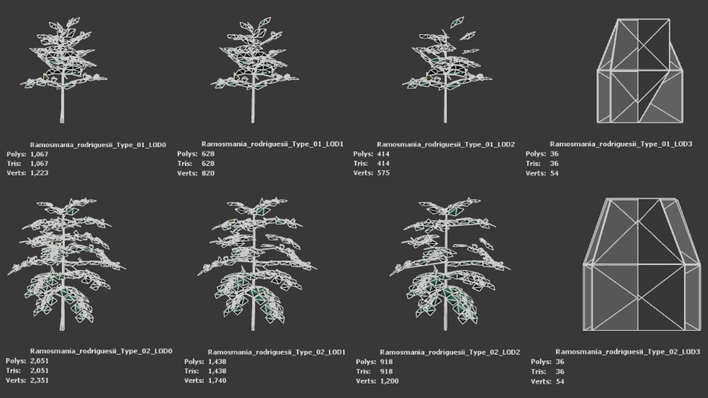 奇跡の復活植物 ラモスマニア・ロドリゲシー 3Dモデル