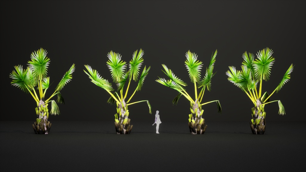 マダガスカルの巨人 ボラッスス・マダガスカリエンシス 3Dモデル