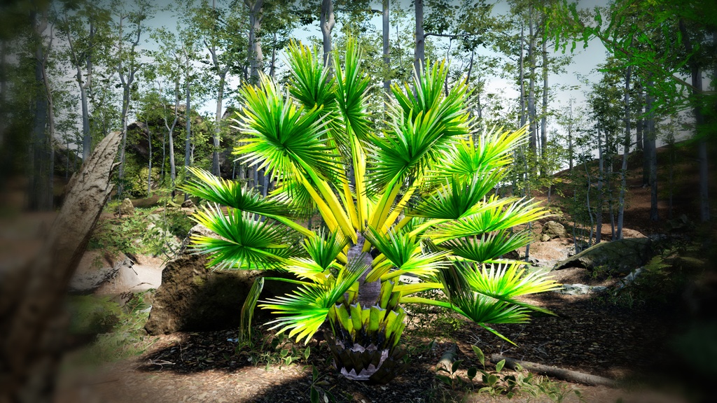 マダガスカルの巨人 ボラッスス・マダガスカリエンシス 3Dモデル