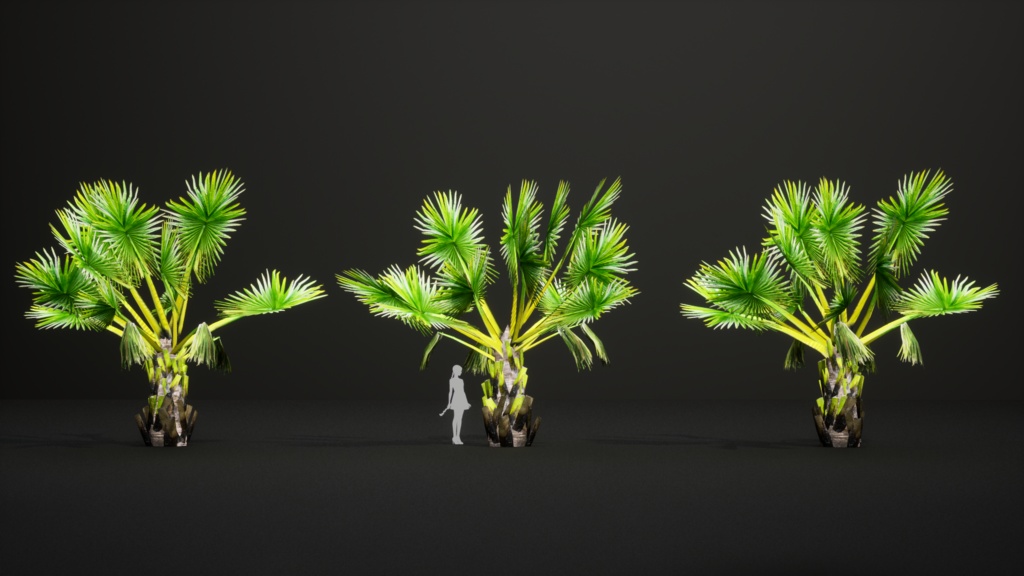 マダガスカルの巨人 ボラッスス・マダガスカリエンシス 3Dモデル