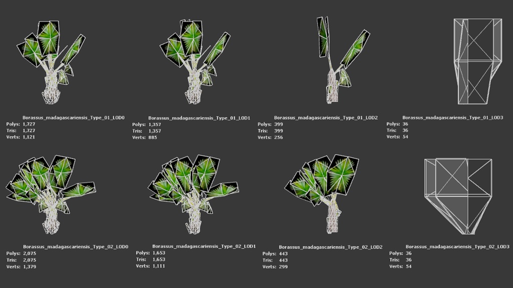 マダガスカルの巨人 ボラッスス・マダガスカリエンシス 3Dモデル