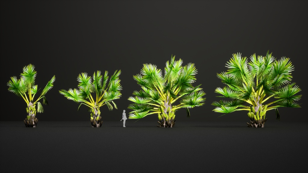 マダガスカルの巨人 ボラッスス・マダガスカリエンシス 3Dモデル