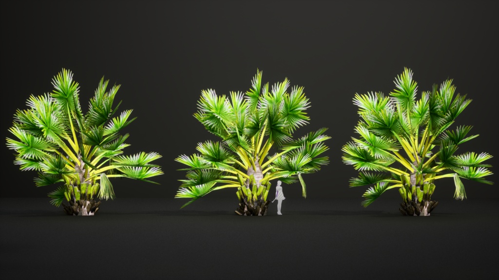 マダガスカルの巨人 ボラッスス・マダガスカリエンシス 3Dモデル