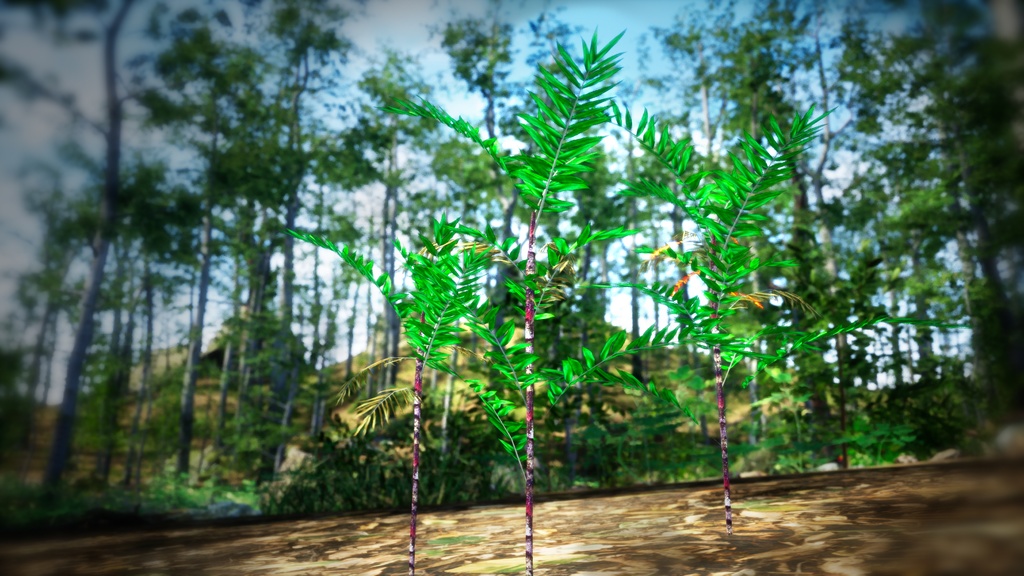 マダガスカルの宝石 ディプシス・ボイビニアナ 3Dモデル