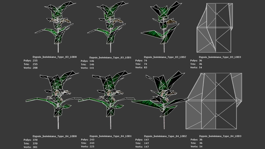 マダガスカルの宝石 ディプシス・ボイビニアナ 3Dモデル