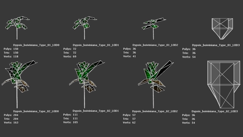 マダガスカルの宝石 ディプシス・ボイビニアナ 3Dモデル