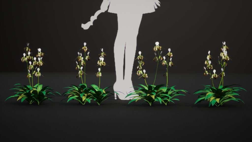 幻の蘭 パフィオペディルム・ディアンサム 3Dモデル