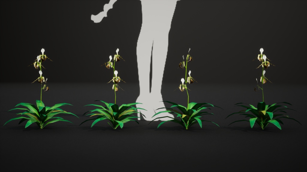 幻の蘭 パフィオペディルム・ディアンサム 3Dモデル